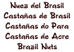 nuez del brasil brasil nuts castanas de brasil castanas de para